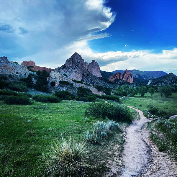 flights to colorado springs